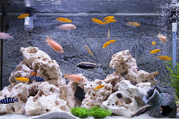 aquarium electricity cost calculator